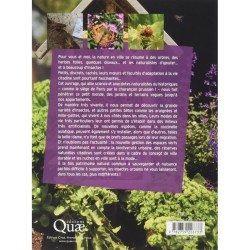 Des insectes en ville - Carnets de sciences