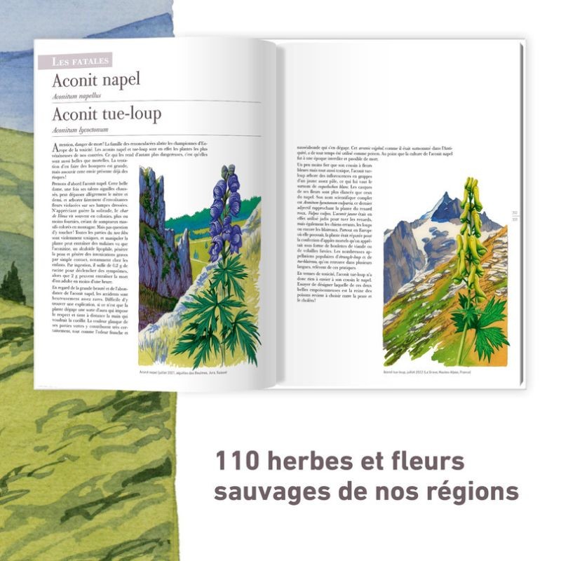 Les plantes sauvages - Les identifier, les connaître, les utiliser Les plantes sauvages - Les identifier, les connaître, les utiliser