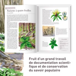 Les plantes sauvages - Les identifier, les connaître, les utiliser Les plantes sauvages - Les identifier, les connaître, les utiliser