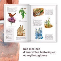 Les plantes sauvages - Les identifier, les connaître, les utiliser Les plantes sauvages - Les identifier, les connaître, les utiliser