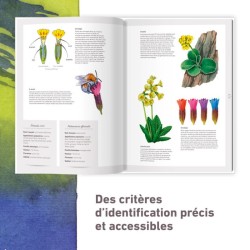Les plantes sauvages - Les identifier, les connaître, les utiliser Les plantes sauvages - Les identifier, les connaître, les utiliser