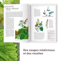 Les plantes sauvages - Les identifier, les connaître, les utiliser Les plantes sauvages - Les identifier, les connaître, les utiliser