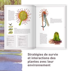 Les plantes sauvages - Les identifier, les connaître, les utiliser Les plantes sauvages - Les identifier, les connaître, les utiliser
