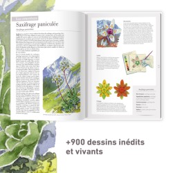 Les plantes sauvages - Les identifier, les connaître, les utiliser Les plantes sauvages - Les identifier, les connaître, les utiliser
