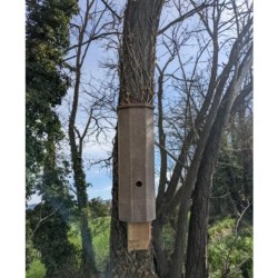 Gîte à chauves-souris d’hivernage en béton de bois