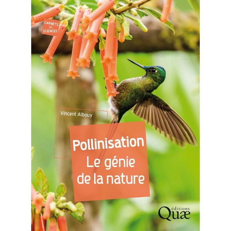 Pollinisation - Le génie de la nature