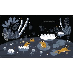 Noctambules - Ecoute les animaux de la nuit