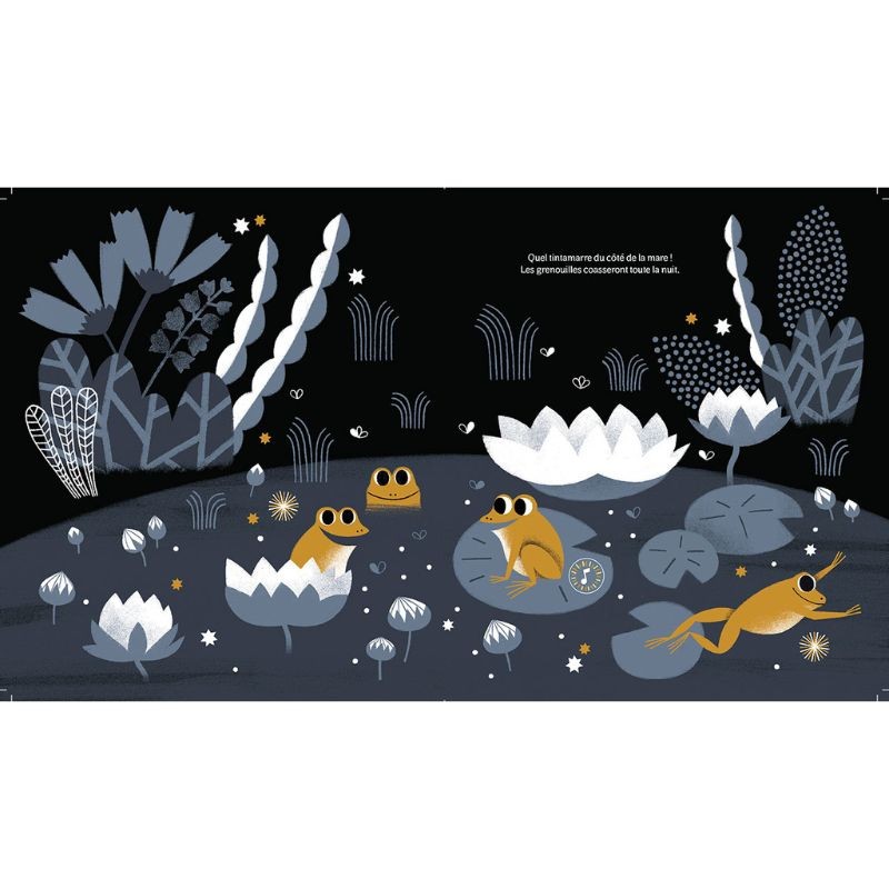 Noctambules - Ecoute les animaux de la nuit