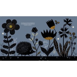 Noctambules - Ecoute les animaux de la nuit