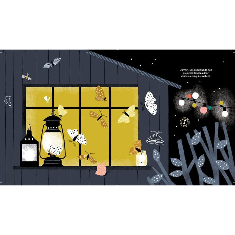 Noctambules - Ecoute les animaux de la nuit