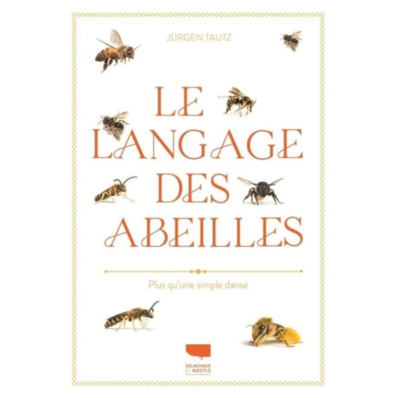 Le langage des abeilles - Plus qu'une simple danse