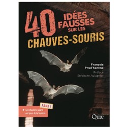 40 idées fausses sur les chauves-souris