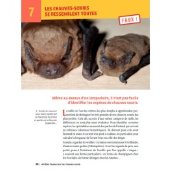 40 idées fausses sur les chauves-souris