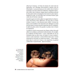 40 idées fausses sur les chauves-souris