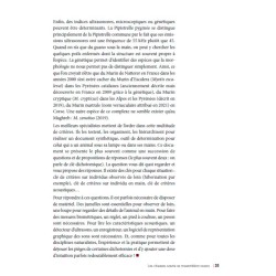 40 idées fausses sur les chauves-souris