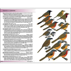 Oiseaux de l'Afrique de l'Ouest - Edition 2023 Oiseaux de l'Afrique de l'Ouest - Edition 2023