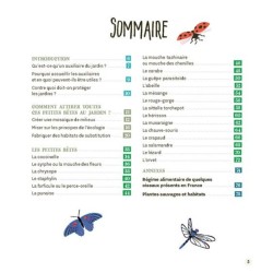 Attirer coccinelles et autres petites bêtes gentilles au jardin