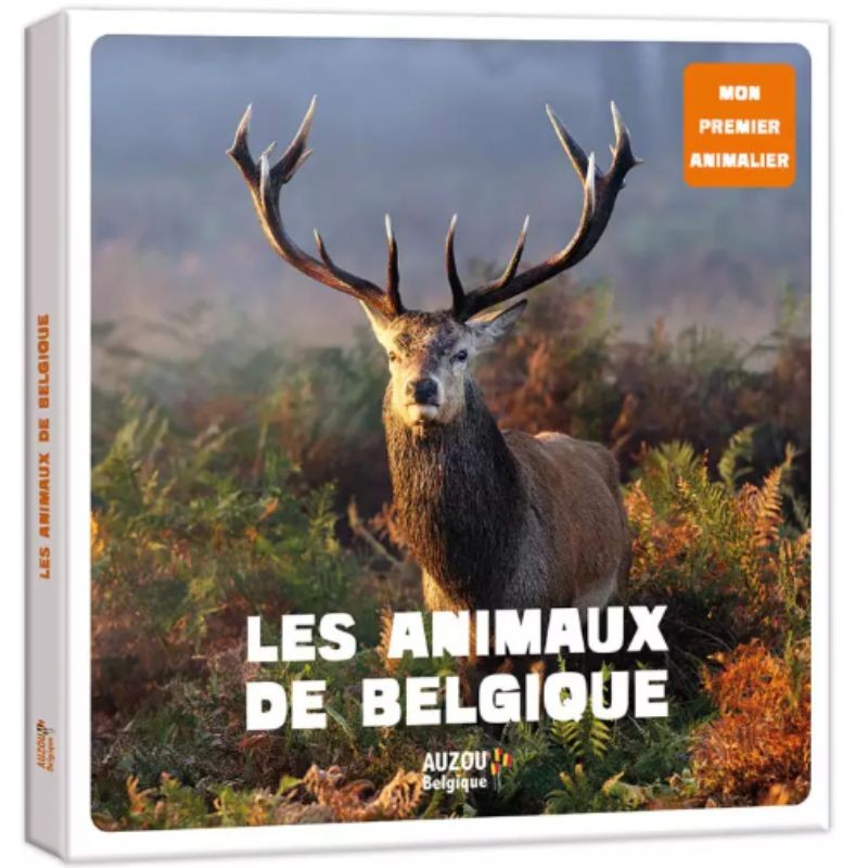 Les Animaux de Belgique - Mon premier animalier