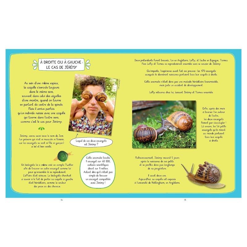 La véritable histoire de Jeremy l'escargot