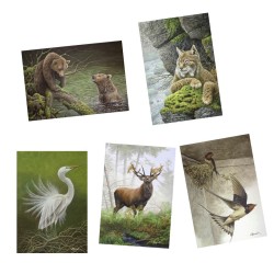 5 cartes de correspondance - Série 11 (Buzin)