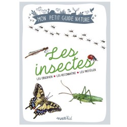 Les insectes - Les observer, les reconnaître, les protéger - Mon petit guide nature