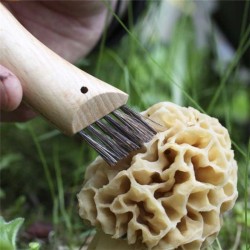 Couteau de poche Opinel "Champignons" N°08 - Inox