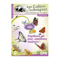 Papillons de jour, papillons toujours ! Papillons de jour, papillons toujours !