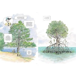 La Vie secrète des arbres en BD