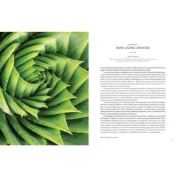 Hallucinants champignons - Leurs extraordinaires pouvoirs sur la santé, l'esprit et la planète Hallucinants champignons - Leurs extraordinaires pouvoirs sur la santé, l'esprit et la planète