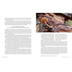 Hallucinants champignons - Leurs extraordinaires pouvoirs sur la santé, l'esprit et la planète Hallucinants champignons - Leurs extraordinaires pouvoirs sur la santé, l'esprit et la planète