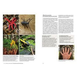Slow Forêt - Cultiver les forêts en respectant l'environnement Slow Forêt - Cultiver les forêts en respectant l'environnement