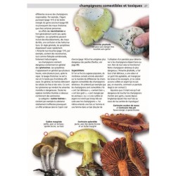 Champignons comestibles et toxiques - Manuel du cueilleur de champignons