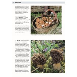 Champignons comestibles et toxiques - Manuel du cueilleur de champignons