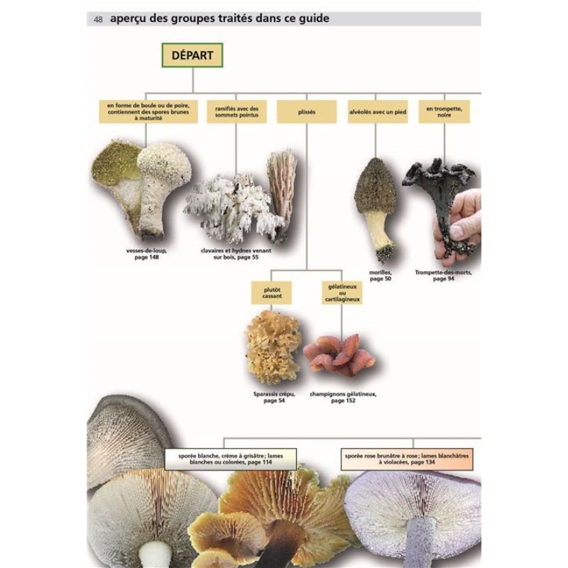 Champignons comestibles et toxiques - Manuel du cueilleur de champignons