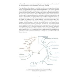 À la rencontre des animaux en montagne (2e ed)