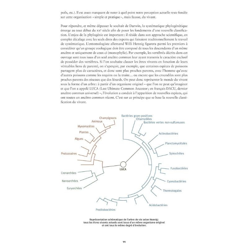 À la rencontre des animaux en montagne (2e ed)
