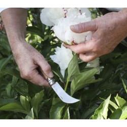 Serpette-Greffoir Opinel "Garden" N°08 - Inox
