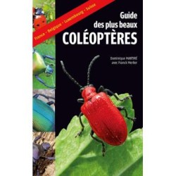 Guide des plus beaux coléoptères