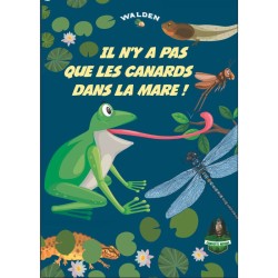 Il n'y a pas que les canards dans la mare