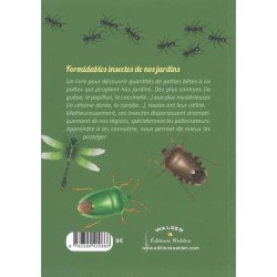 Formidables Insectes de nos jardins Belgique