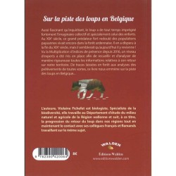 Sur la piste des loups en Belgique