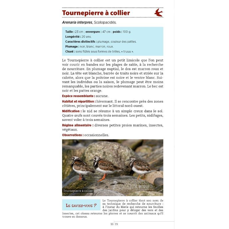 Guide des oiseaux des bords de mer