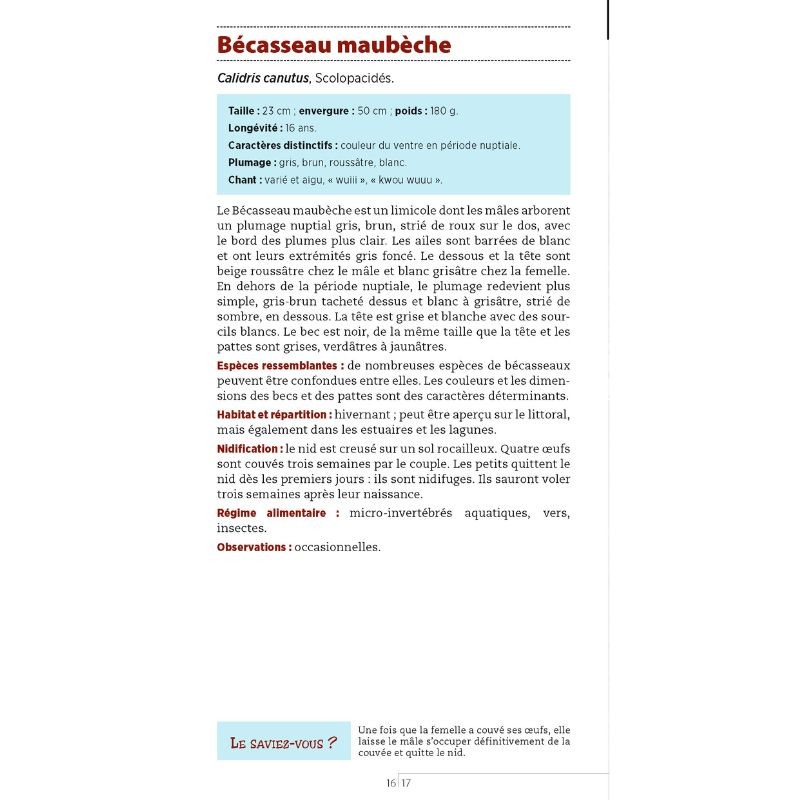 Guide des oiseaux des bords de mer