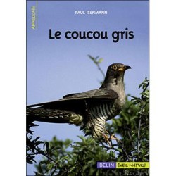 Le coucou gris