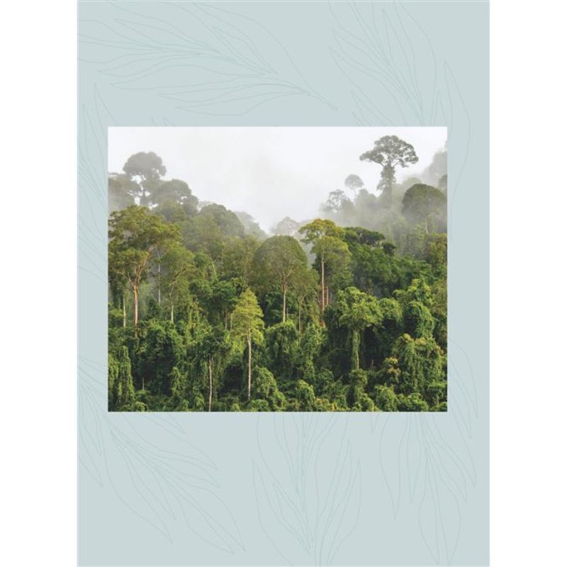 Les Forêts du monde