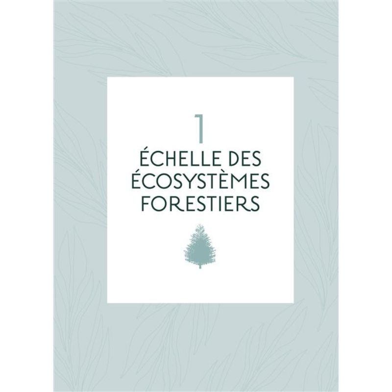 Les Forêts du monde