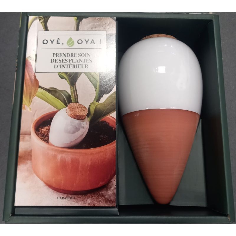 Coffret Oyé Oya - Prendre soin de ses plantes d'intérieur