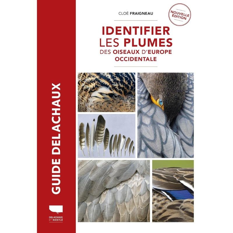 Identifier les plumes des oiseaux d Europe occidentale - Ed. 2023