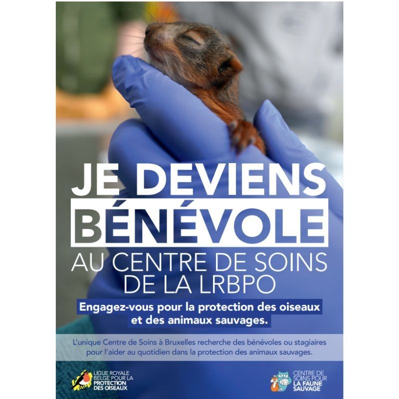 Flyer "Je deviens bénévole au Centre de soins de la LRBPO" - Dépliant
