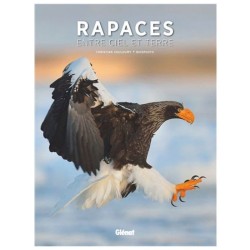 Rapaces - Entre ciel et terre
